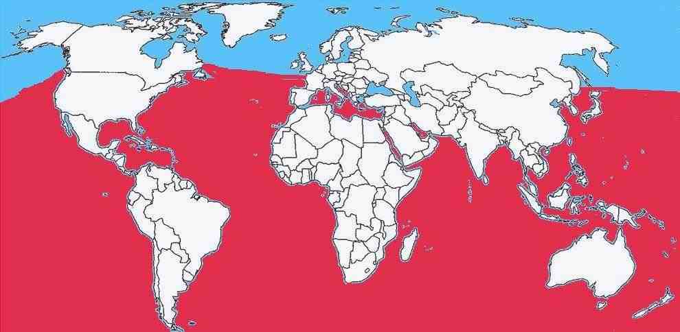 Propagación mundial del pez globo