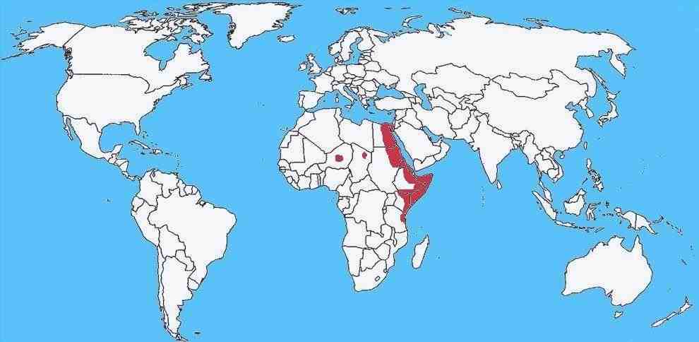 Mapa de distribución Cobra roja - Naja pallida